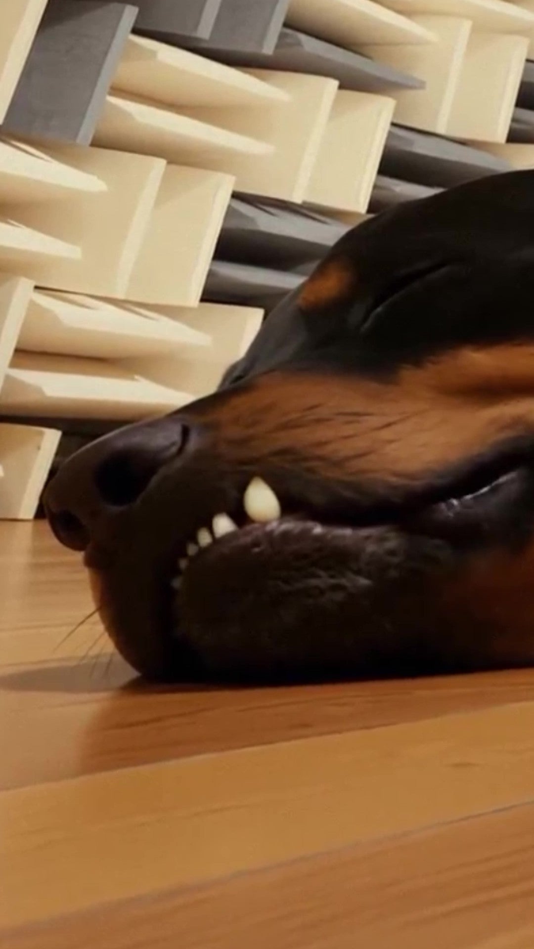 Video Cover
